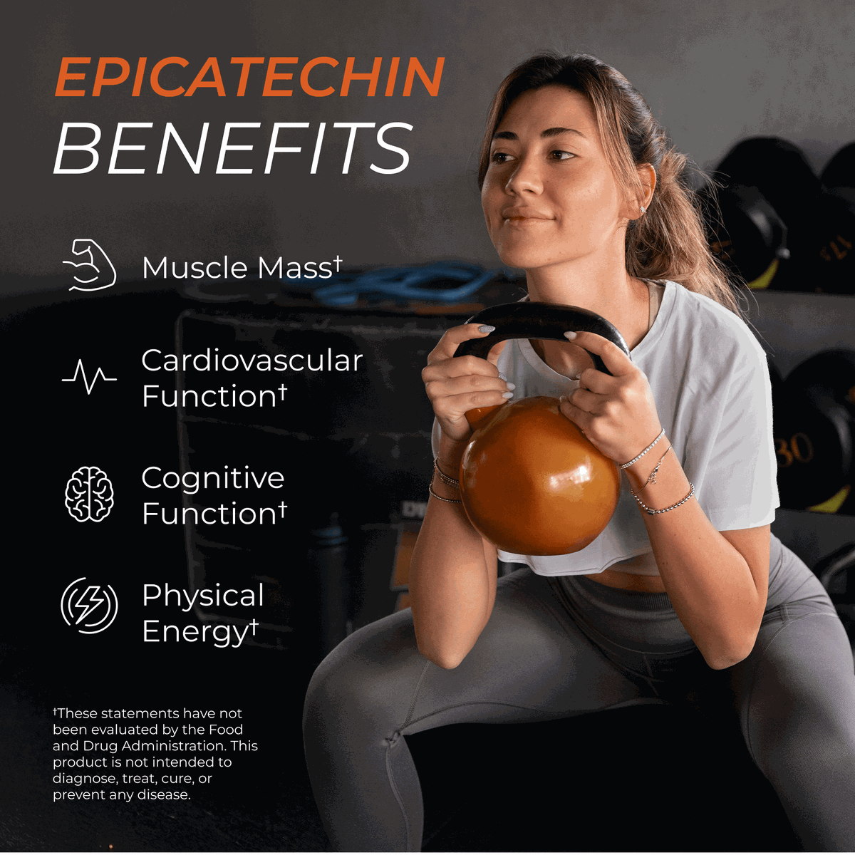 Epicatechin Supplement Daily Performance Nutrition Support Capsules