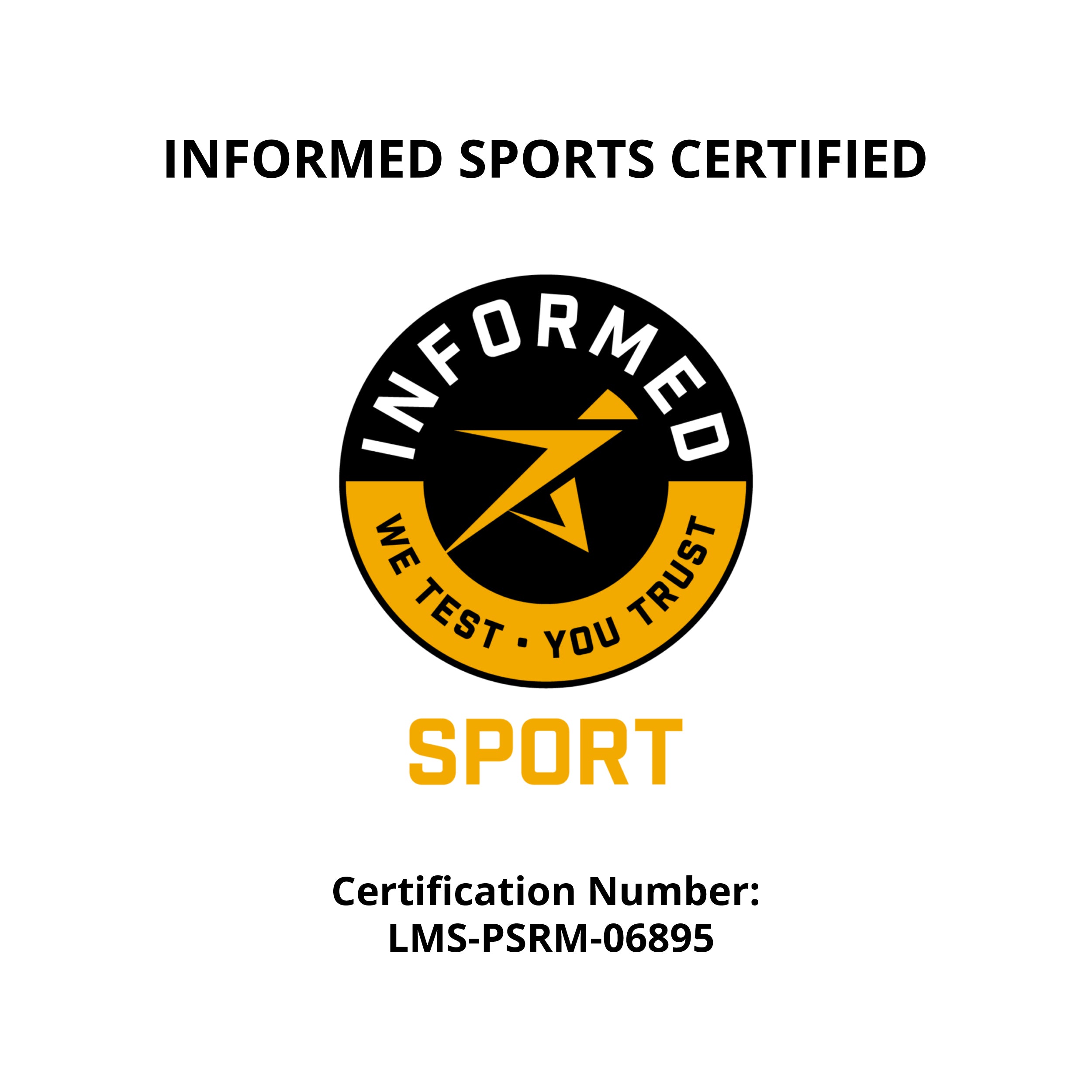 Plant Based Sport Protein Powder for Active Nutrition