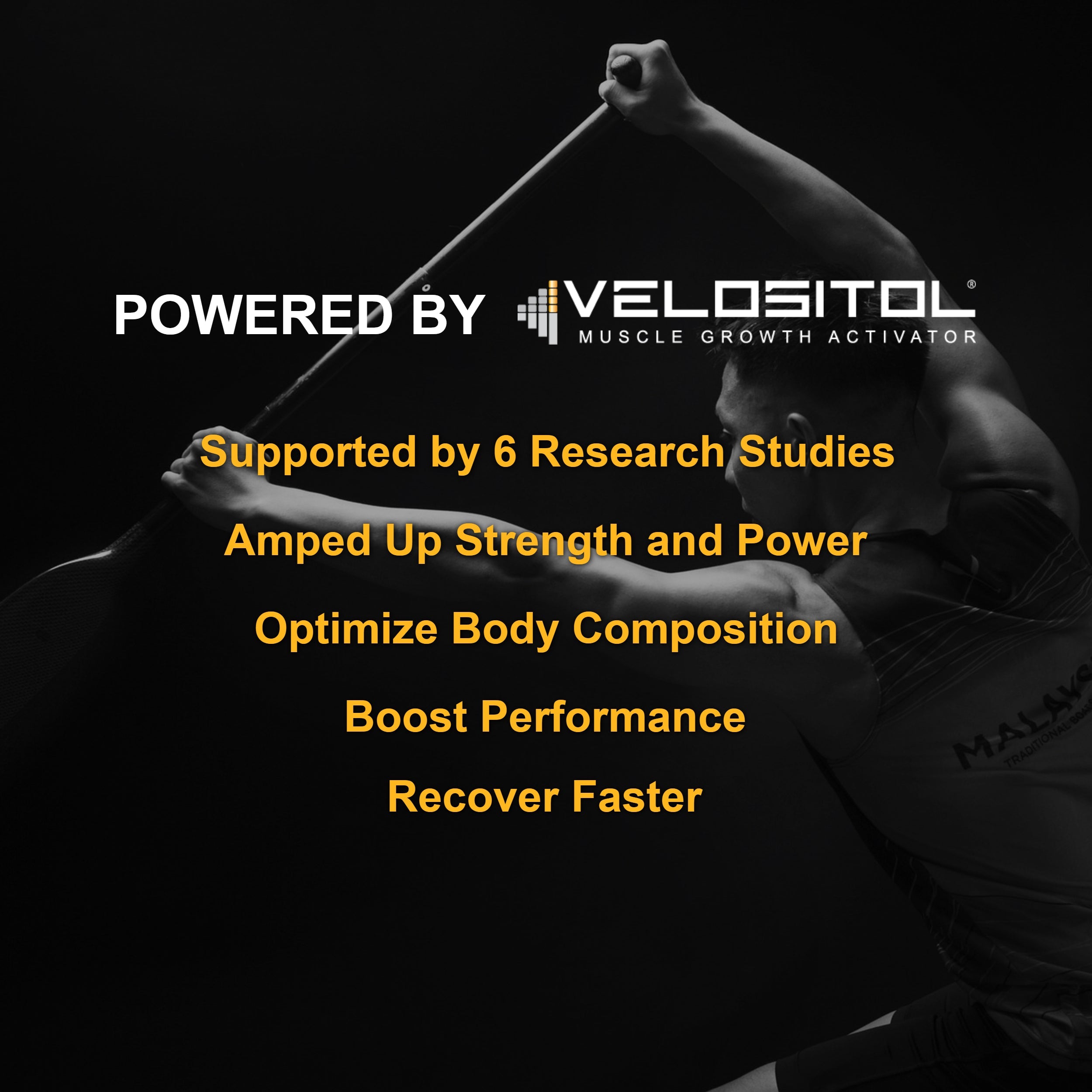 Plant Based Sport Protein Powder for Active Nutrition