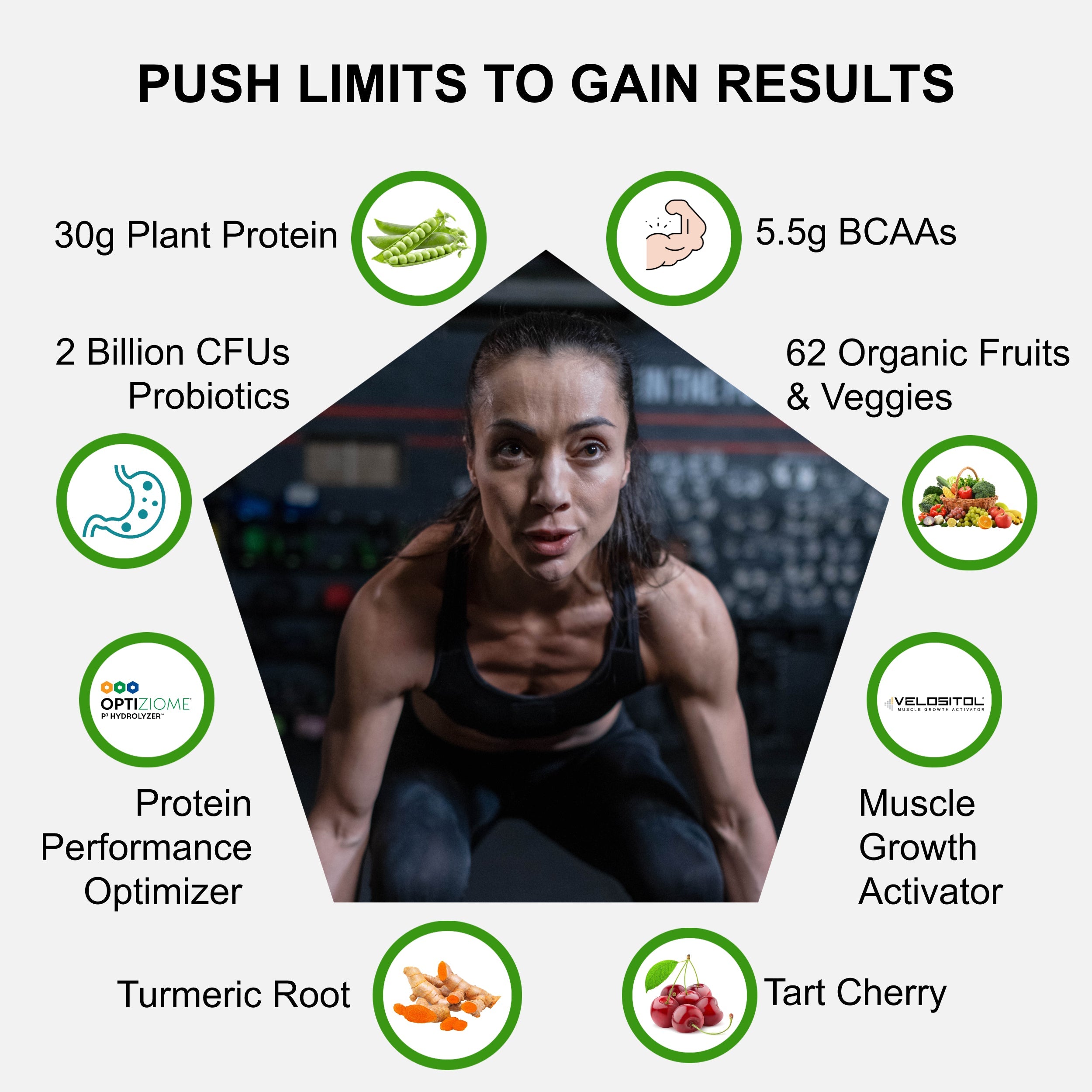 Plant Based Sport Protein Powder for Active Nutrition
